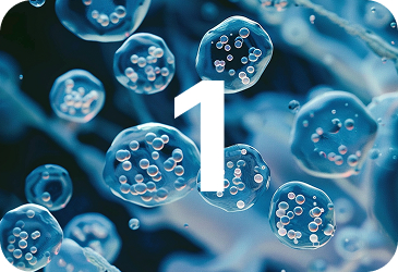 number 1 overlaid on a background of bubbles